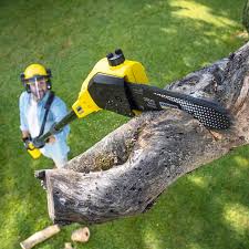 Best Lawn Pest Prevention  in Pocola, OK