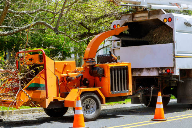 Pocola, OK  Tree Services Company